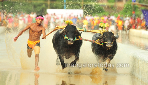 Rama Lakshmana Jodukare Kambala